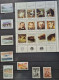 Delcampe - Collection De Timbres Sur Le Thème Amérique Du Sud,  Polaire. - Collections (without Album)