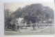 AK St. Thomas Emancipation Garden 1913 Gebraucht #PG736 - Altri & Non Classificati