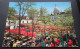 Paris - A Montmartre La Place Du Tertre Et Les Coupoles Du Sacré-Coeur - Editions CHANTAL, Paris - Markten, Pleinen