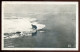 NORWAY 1910s Polarhavet. Polar Bear. Real Photo Postcard (h2240) - Norvège