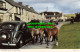 R554781 Dartmoor Ponies In Princetown. Jarrold. RP - Monde