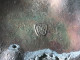 Médaillon PIE.XII - ROMA 1950 - Diamètre 10,2 Cm - Religion &  Esoterik