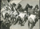 60s ORIGINAL AMATEUR PHOTO FOTO HORSE HORSES CHEVAL CAVALOS CAMPINOS RIBATEJO PORTUGAL AT410 - Places