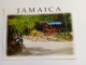 D202875     CPM  AK - JAMAICA  Fern Gully Near Ocho Rios - Jamaica