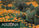 Fleurs - Plantes - Cactus - Arizona - A Blanket Of Mexican Goldpoppies Frame A Patch Ot Prickly Pear Cacti In Southern A - Cactus