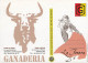 Corrida - Medhi Savalli - Matador Français - Carte Neuve - CPM - Voir Scans Recto-Verso - Corrida