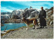 THE GREAT ST.BERNARD - GENERAL VIEW FROM THE KENNEL.- VALLE D'AOSTA.- ( ITALIA ) - Autres & Non Classés