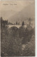 CPA - ITALIE - LOMBARDIA - BRESCIA - BAGOLINO - Ponte PRADA  - 1917 - Brescia