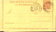 1901-biglietto Postale Non Scritto C.20 (B5) Annullo Firenze (15.11) Bordi Integ - Ganzsachen
