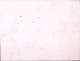 1880-SERVIZI Sopr. C. 2/5,00 (35) Isolato Su Avviso Di Passaggio - Marcophilie