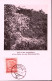1948-Austria Panorami G.5 Su Maximum Ann. Vienna (12.4) - Autres & Non Classés