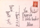 1948-SAN MARINO EUROPA STEMMA Sopr. Lire 6/4 (310) Isolato Su Cartolina Illustra - Lettres & Documents