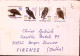 1982-GERMANIA DDR . Protezione Uccelli Rapaci Serie Cpl. (2352/5) Su Busta Per L - Brieven En Documenten