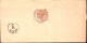 1899-AUSTRIA RAOSSI/IN VALLARSA C.2 (24.9) E Tondo I.P. Ricevimento ESATTORIA DO - Other & Unclassified