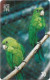 Brazil - Telepar (Inductive) - Parrots 12/14, Sabiá-Cica, 12.1999, 30U, 10.000ex, Used - Brazil
