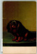 39735411 - M.M. Vienne Nr. 176 - Dogs