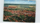 72612787 Lueneburg Gesamtansicht  Lueneburg - Lüneburg