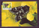 Faroe Islands 1993 MiNr. 252 - 55 Dänemark Färöer Schmetterlinge Insects, Butterflies 4v MC 9,00 € - Vlinders