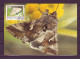 Faroe Islands 1993 MiNr. 252 - 55 Dänemark Färöer Schmetterlinge Insects, Butterflies 4v MC 9,00 € - Butterflies