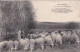 Delcampe - 256 Cartes Moutons Bergers Tondeur Collection De 256 Cartes Tous Départements - Autres & Non Classés