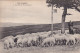 Delcampe - 256 Cartes Moutons Bergers Tondeur Collection De 256 Cartes Tous Départements - Autres & Non Classés