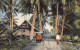 Singapore - Native Village - Publ. Max H. Hilckes 74 - Singapour