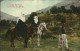 11204035 Tuerkei Pferde  - Turquie