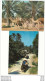 10dito  TUNISIE GABES LOT DE 5 CP TOUTES ANIMEES CARAVANE, CHENINI, L'OASIS... - Tunisie