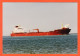 35773 / IMO 891240 Crude Oil Tanker BORGA (2) Ship Petrolier 10-1996 Photographie Véritable 15x10 KODAK  - Bateaux