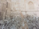 Delcampe - Rare Photos Funérailles Militaire Sénateur Maire Quimper Bretagne Finistére Cathédrale Corentin Cimetiére St Marc 1903 - Lieux
