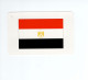 Chromo/carte Plastifiée Moderne  EGYPTE EGYPT Le Caire Cairo Afrique Africa Drapeau Flag Plan Map 90 X 58 Mm RRR TB - Sonstige & Ohne Zuordnung