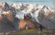 74-CHAMONIX-N°4227-G/0361 - Chamonix-Mont-Blanc