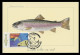 ANDORRA Postes (2024) Carte Maximum Card EUROPA Fauna I Flora Submarines Truite Arc-en-ciel Trucha Trout - Maximumkarten (MC)