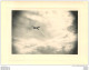 PHOTO AVION FORMAT  11 X 8 CM - Aviation