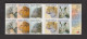 AFRIQUE DU SUD   Y & T CARNET C199 POSTE AERIENNE  FAUNE ELEPHANT 2010 NEUF - Postzegelboekjes