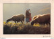 Photographe Jean-Jacques ARCIS - La Gardeuse De Moutons - Other & Unclassified