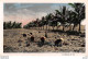 Delcampe - VIET-NAM - LOT DE 3 CARTES PHOTOS ET 1 CPSM SUR LA CULTURE DU RIZ DANS LE NORD VIET-NAM - BEAUX PLANS - Vietnam