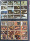Delcampe - Album 64 Pages : Oman / Sharjah / Yemen / Yemen Arab Republic / Umm Al Qiwain / Dhufar / Dubai - Collections (with Albums)