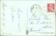 Cs106 Cartolina Davoli Viale Rimembranza Provincia Di Catanzaro 1939 - Catanzaro