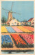 Postcard Netherlands Windmill Tulip Field Fantasy - Autres & Non Classés