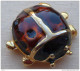 Broc -180 Coccinelle Couleur Prune Et Noire De 30mm/30mm Poids17,00g De 30mm/30mm - Brooches