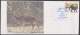 Inde India 2011 Special Cover Hangul, Red Deer, Wildlife, Wild Life, Animal, Animals, Pictorial Postmark - Covers & Documents