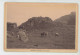 LA BRESSE - GROSSE PIERRE (vaches Et Chèvres Au Pâturage) - Photo Sur Support Cartonné De VICTOR COMBEAU à GÉRARDMER - Gerardmer