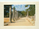 Grèce - Athènes - Athína - Olympie - Partie De La Palestre - Carte Neuve - CPM - Voir Scans Recto-Verso - Grèce