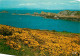 35 - Cancale - L'Ile Des Landes Et La Pointe Du Grouin - CPM - Voir Scans Recto-Verso - Cancale