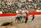 Corrida - Arrastre - Chevaux - CPM - Voir Scans Recto-Verso - Corrida