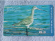 UAE - 2 CARDS OF BIRDS - United Arab Emirates