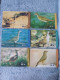 UAE - 6 CARDS OF BIRD - Verenigde Arabische Emiraten