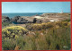 Sauzon (Belle-île-en-Mer 56) Pointe Des Poulains Le Phare Et Le Rocher Du Chien 2scans - Belle Ile En Mer