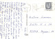 OISEAU Animaux Vintage Carte Postale CPSM #PAN390.A - Vögel